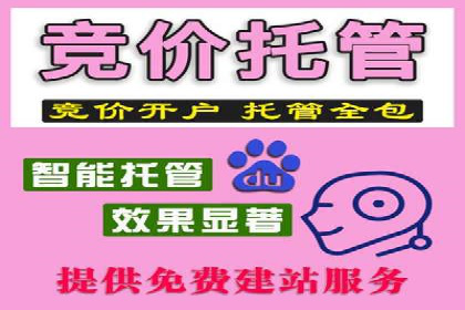 抖音信息流广告的成功案例：品牌如何借助其实现营销目标